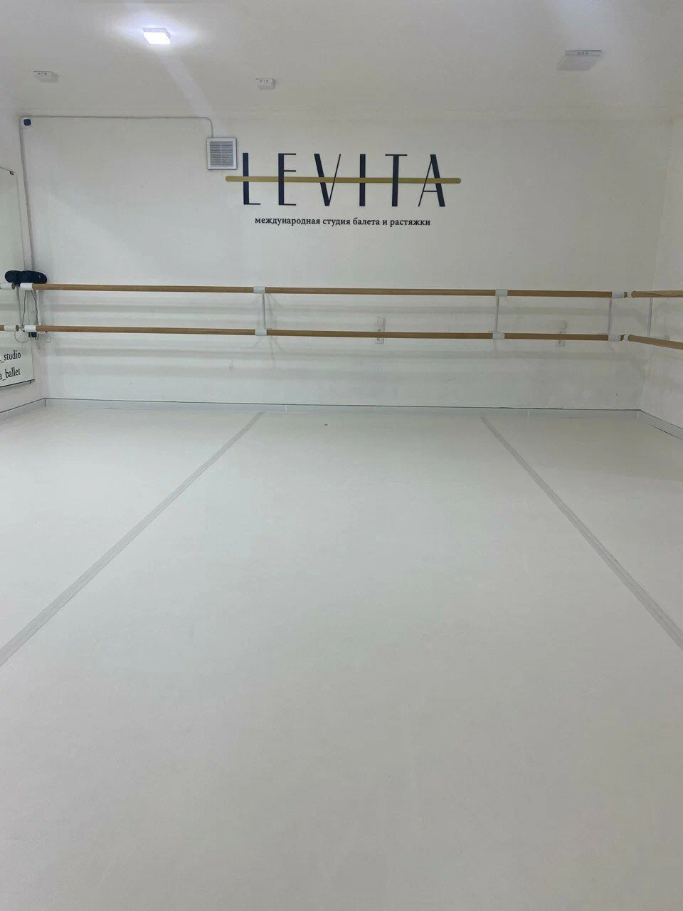 Хореографическое училище "LEVITA"