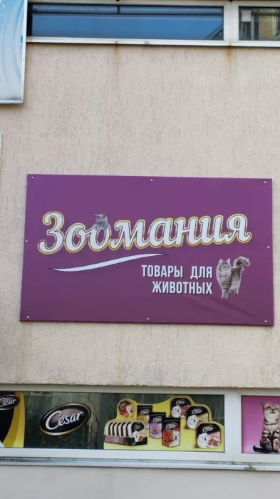 Рекламная компания «ВЕКТОР–ЮГ»