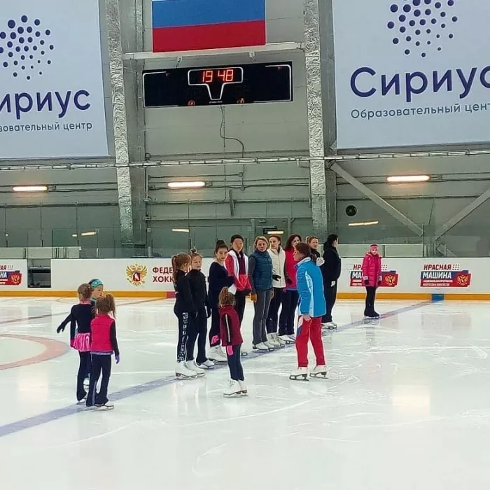 Клуб фигурного катания "Профессионал"