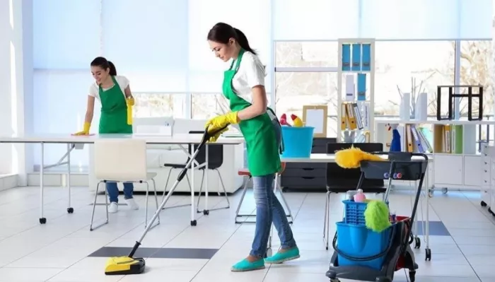 Профессиональная уборка "Queen Cleaning"