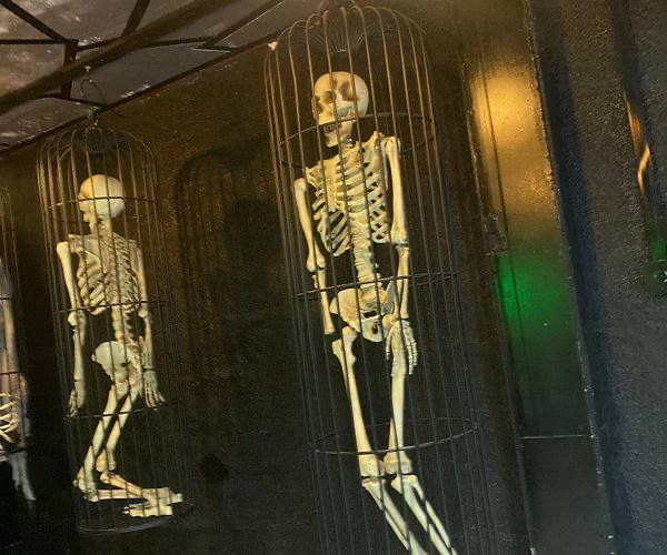 Квест «Scream House Horror Escape Games»