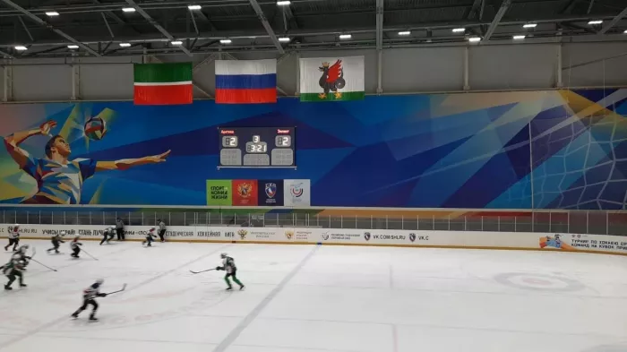 Ледовый дворец "Зилант"
