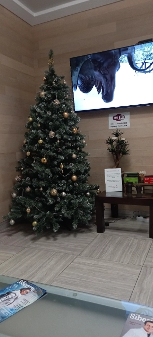Медицинский центр ''AvantaMed''