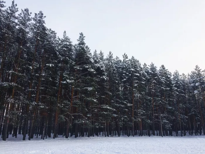 Лыжная база "Олень"