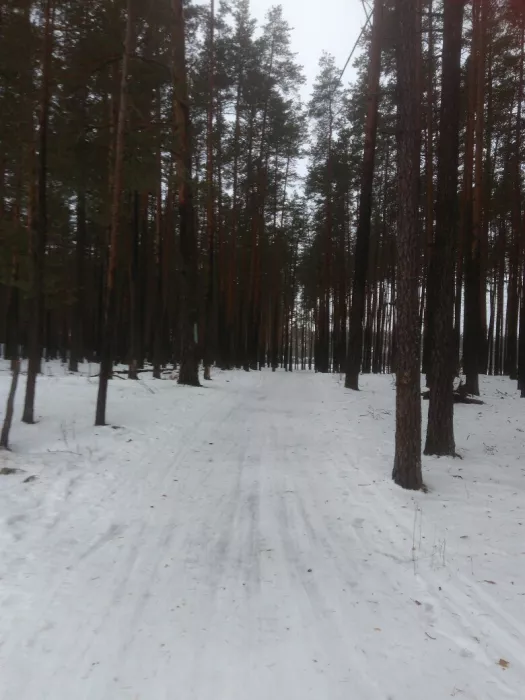  Лыжная база "Олень"