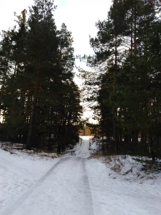  Лыжная база "Олень"