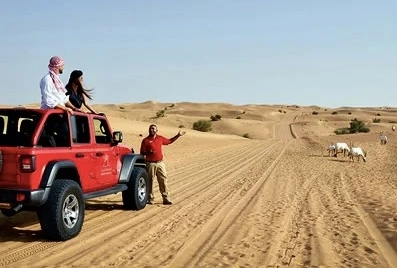 Покорение дюн с компанией Arabian Adventures