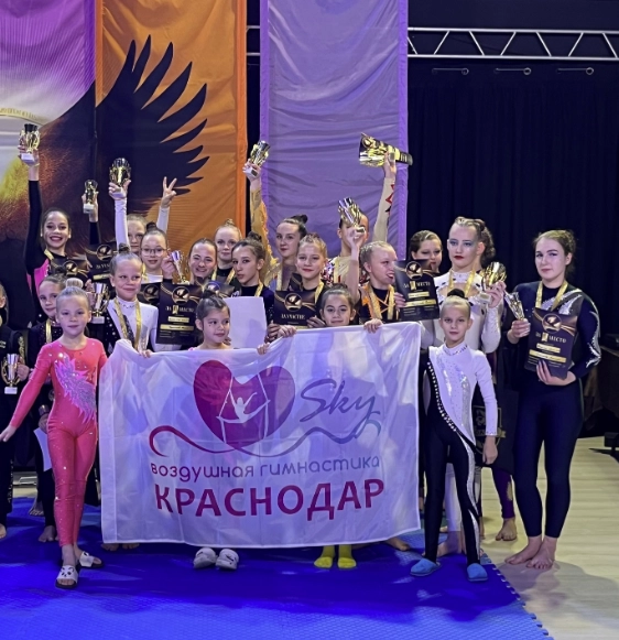 ​Студия художественной и воздушной гимнастики "Sky"