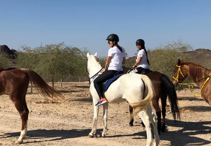 Конные прогулки "Hatta Horses"
