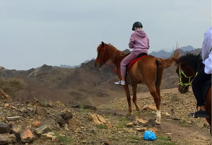 Конные прогулки "Hatta Horses"