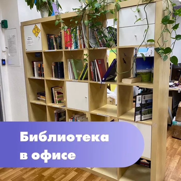 Рекламное агентство "i-Media"