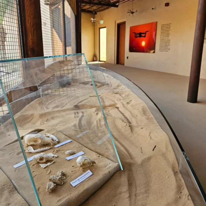 Заповедник "Desert Conservation Reserve"
