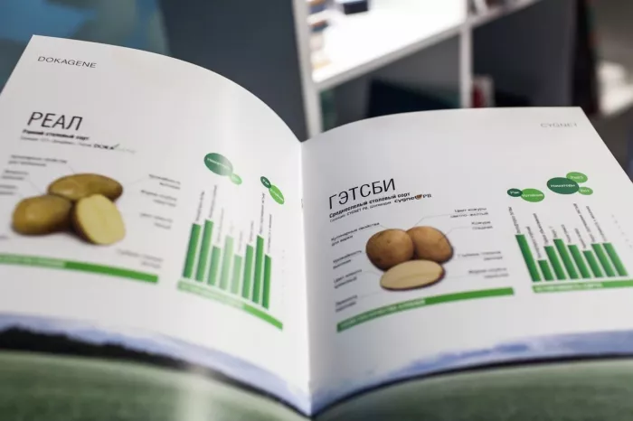 Типография "Online CityPrint" на Большом