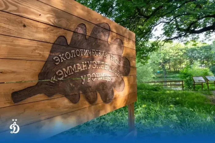 Отель "Динамо"
