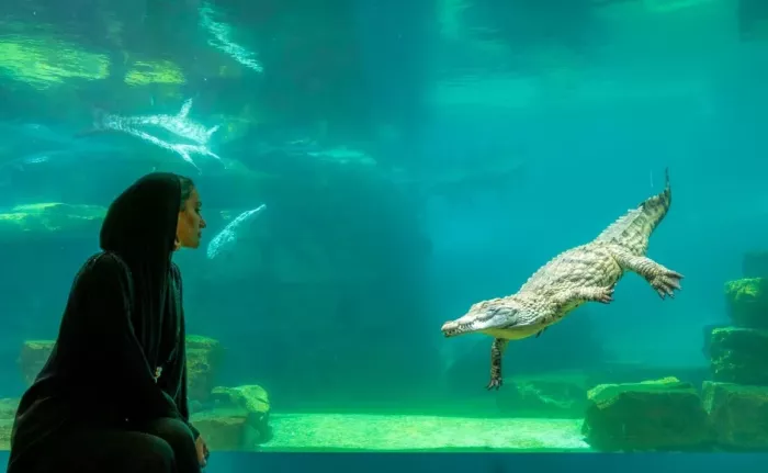 Парк крокодилов "Crocodile Park"