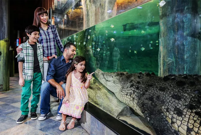 Парк крокодилов "Crocodile Park"