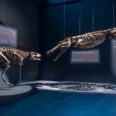 Парк крокодилов "Crocodile Park"