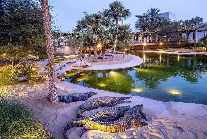 Парк крокодилов "Crocodile Park"