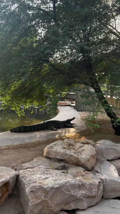 Парк крокодилов "Crocodile Park"