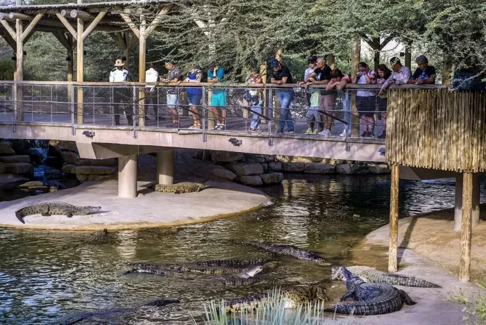 Парк крокодилов "Crocodile Park"