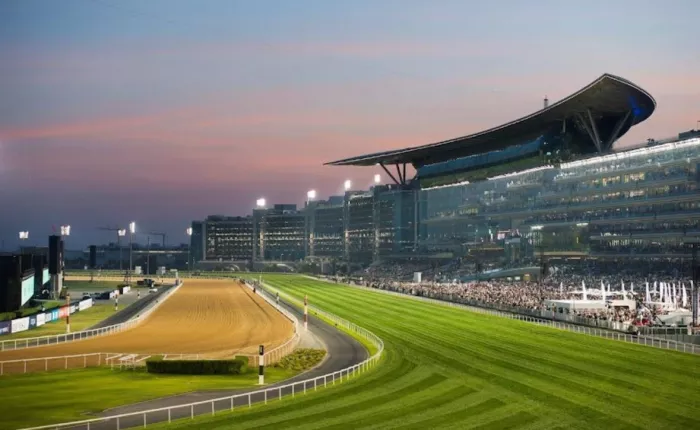 Ипподром «Meydan Racecourse»