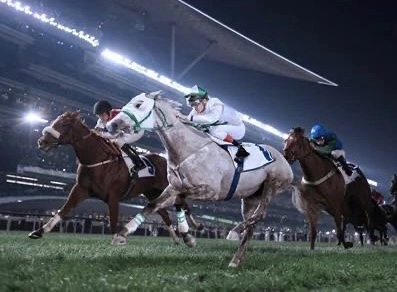 Ипподром «Meydan Racecourse»