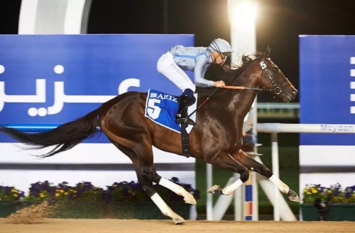 Ипподром «Meydan Racecourse»