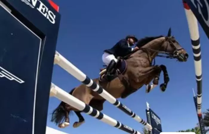 Клуб верховой езды “Jebel Ali Equestrian Club”