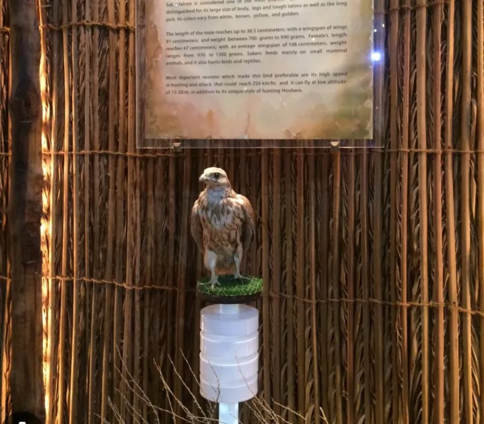 Экскурсии в центр “Falcon And Heritage Sports Centre”