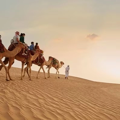 Туры от компании "Arabian Desert Tours"