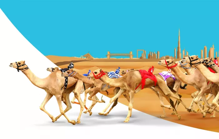 Верблюжьи бега "Royal Camel Racing Club"