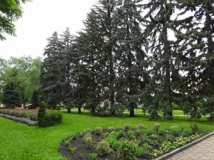 Парк культуры и отдыха