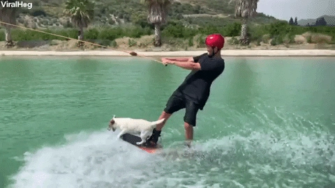 Вейк-клуб "River Club Surf"