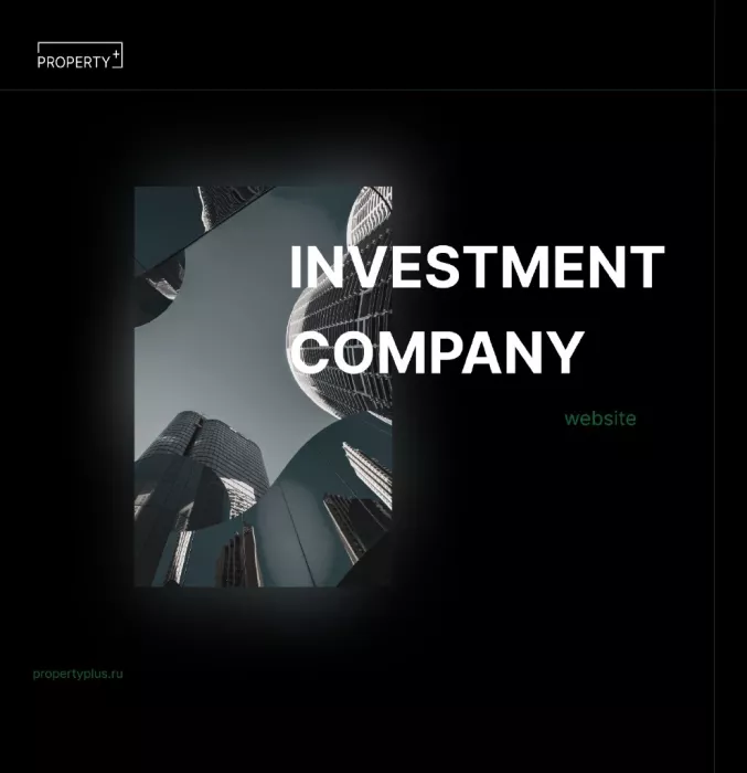 IT компания "MaPbiz group"