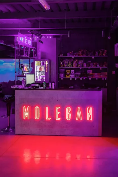 Компьютерный клуб "Molegan arena"