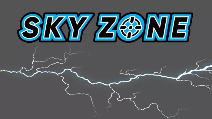 Компьютерный клуб "Sky zone"