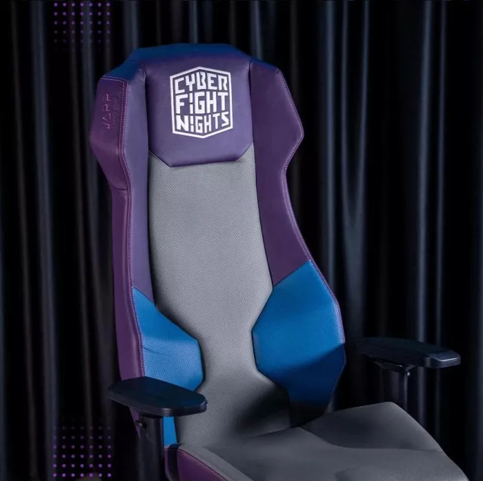 Кибер клуб "Cyber Fight Nights"