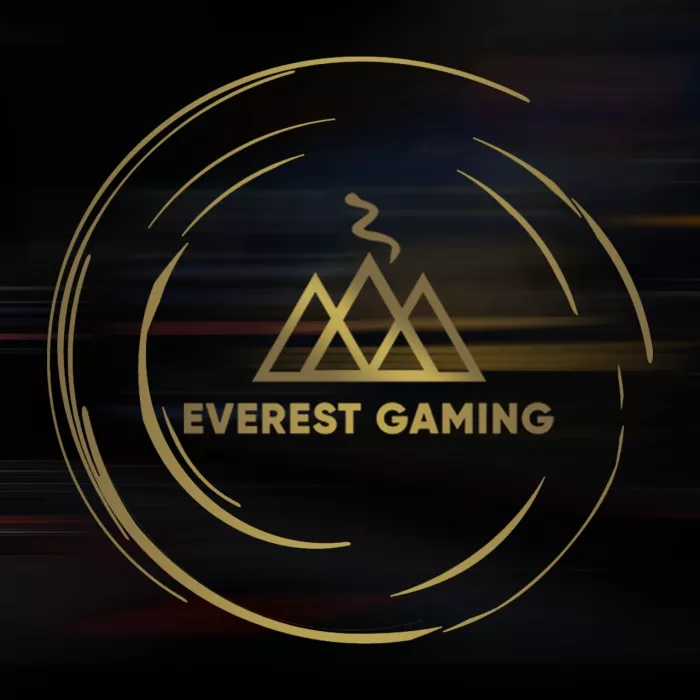 Кибер клуб "Everest Gaming"