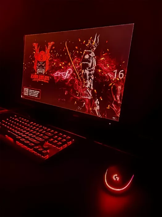 Компьютерный клуб "Cyber Samurai"