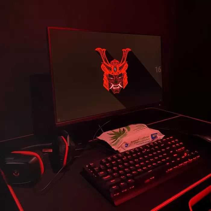 Компьютерный клуб "Cyber Samurai"