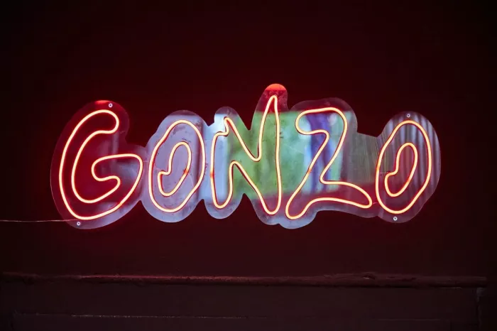 Кибер клуб "Gonzo" на Садовой