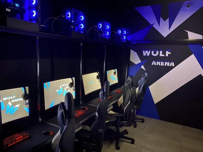 Компьютерный клуб "Wolf Arena"