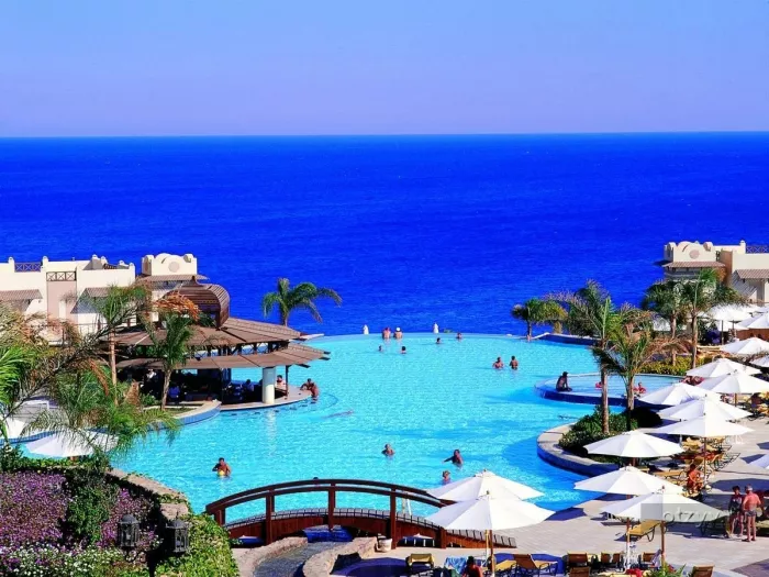 Турагентство "Msc Cruises Club"