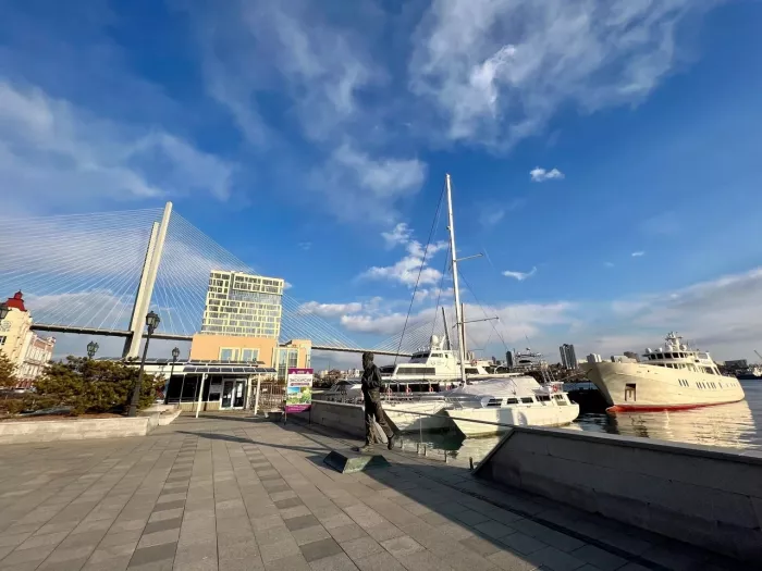 Экскурсия "Мосты Владивостока"