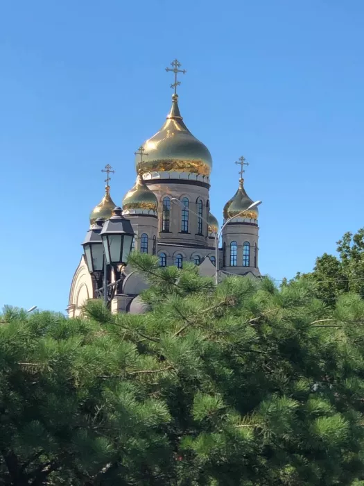 Экскурсия "Мосты Владивостока"