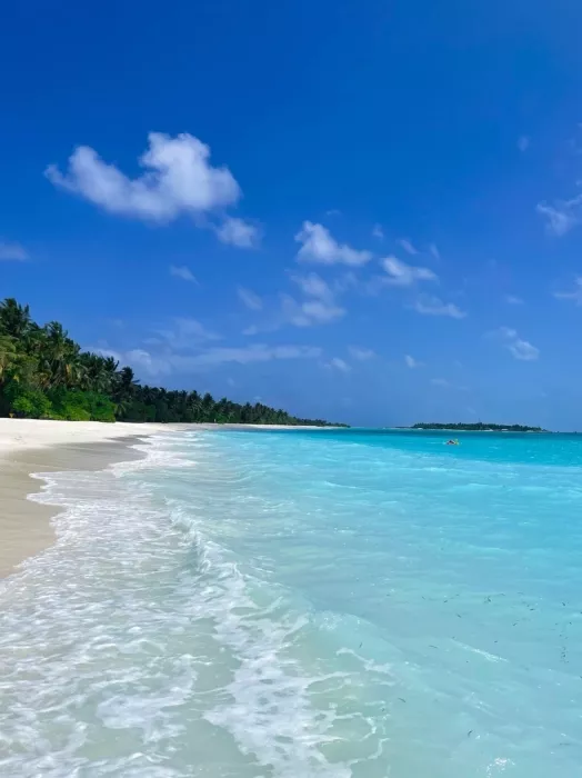 Турагентство "Coral Travel" на Красных Партизан