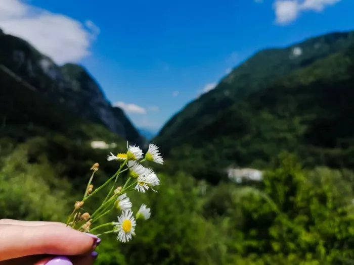 Экскурсии "Sochi Excursions"