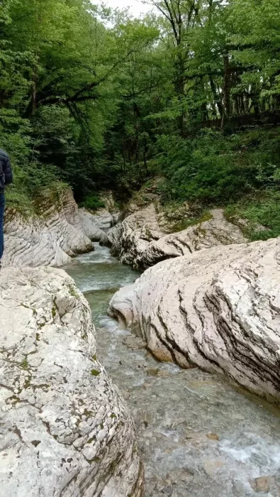 Экскурсии "Sochi Excursions"