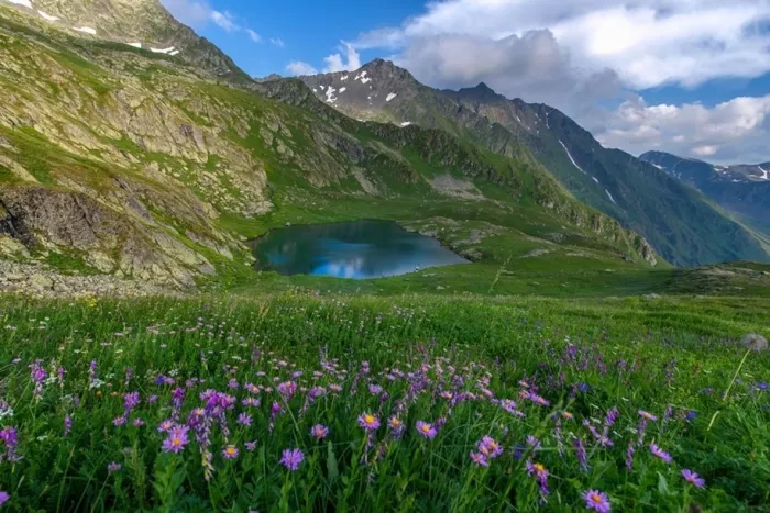 Экскурсии "Wow! My Sochi"