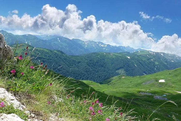 Экскурсии "Wow! My Sochi"